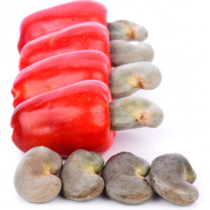 raw-cashew-nuts